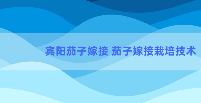 宾阳茄子嫁接 茄子嫁接栽培技术